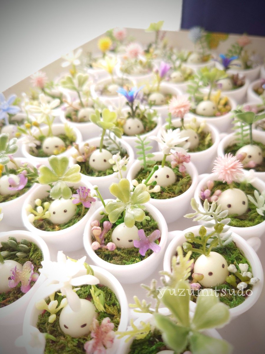 柚蜜堂🍀 tweet media