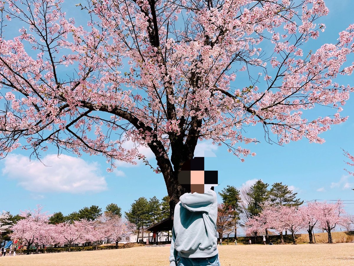 おはる🐒 tweet media