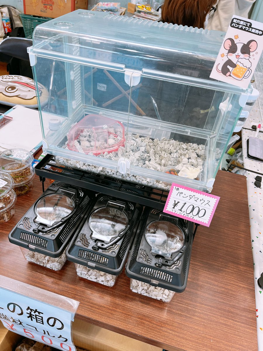 Ram13119's tweet photo. 今年も東北ペットフェスに出店中！
蛇穴屋ブースで待ってるよ〜☺
#東北ペットフェス https://t.co/WaG1PrMFDW