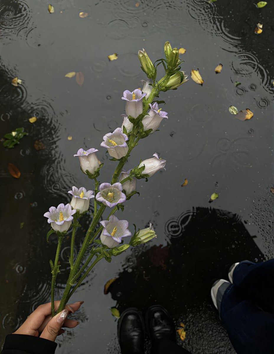 ❀ (@i3moment) on Twitter photo 