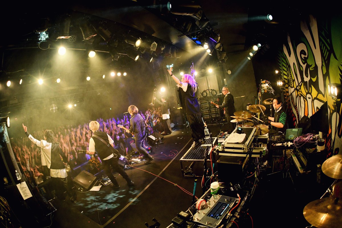 MAYSON's PARTY tweet media