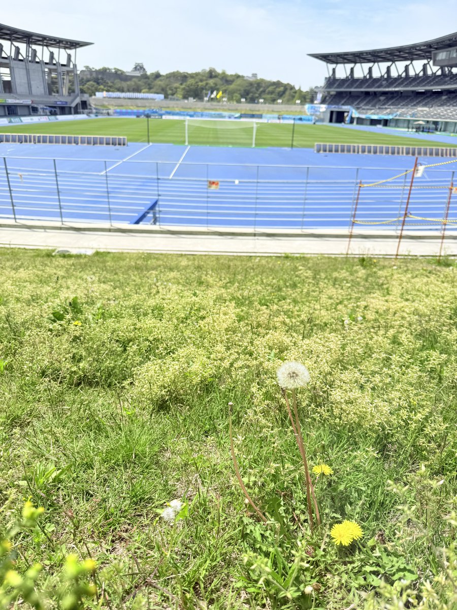 ローディー tweet media