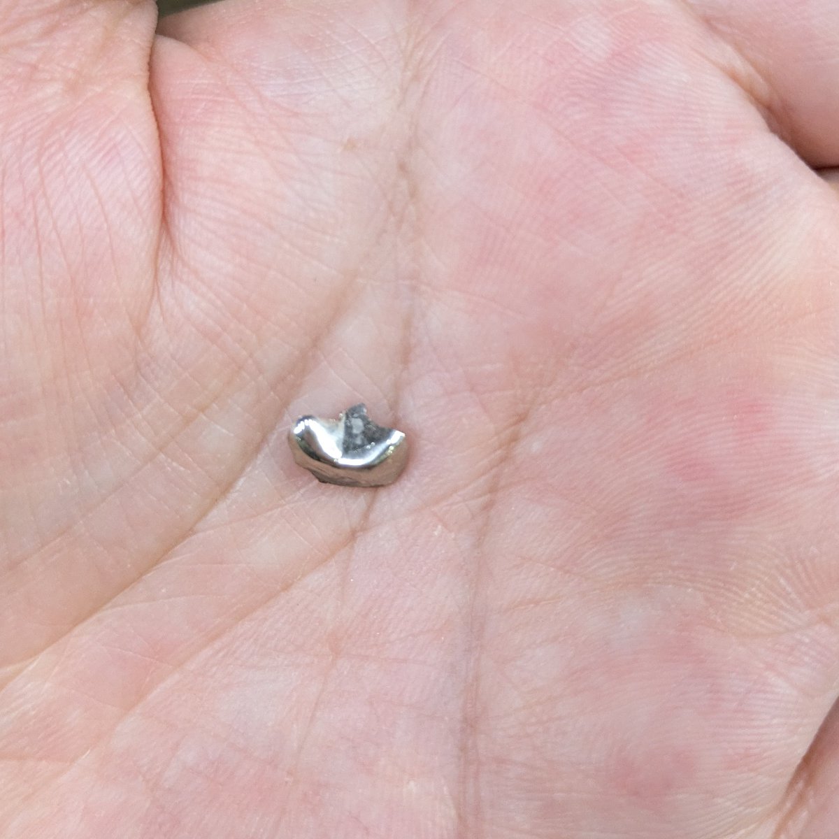 あるてぃめっとRie🍨🐟️⛄️🩷⭐️🍶 tweet media