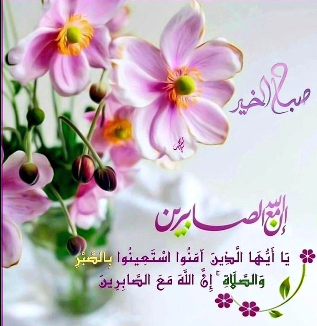 نواف الشمري tweet media