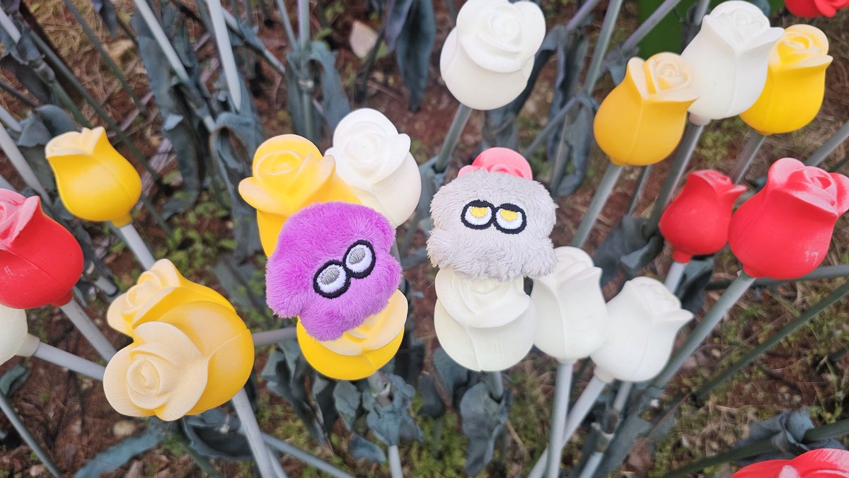 오비상 tweet media