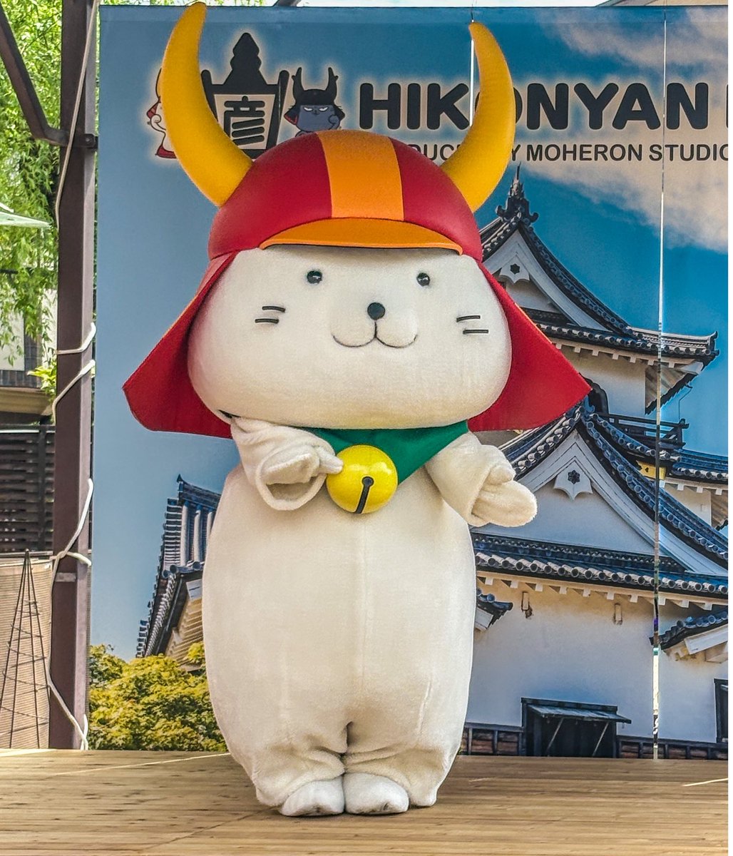 くまねこ 🐯ブログ写真整理中💦 tweet media