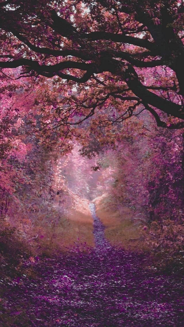 Aesthetics tweet media