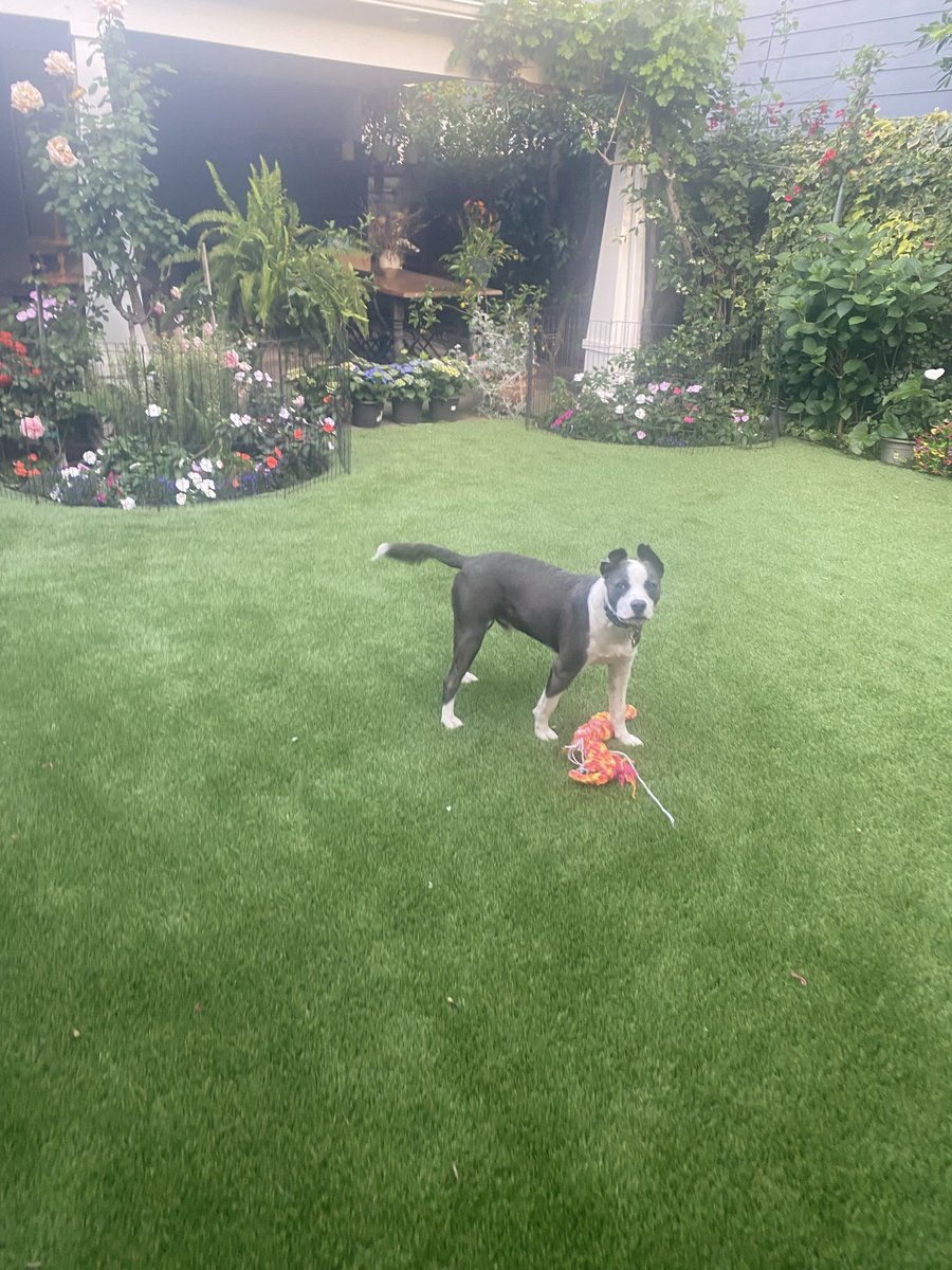 Oliver “Ollie” tweet media