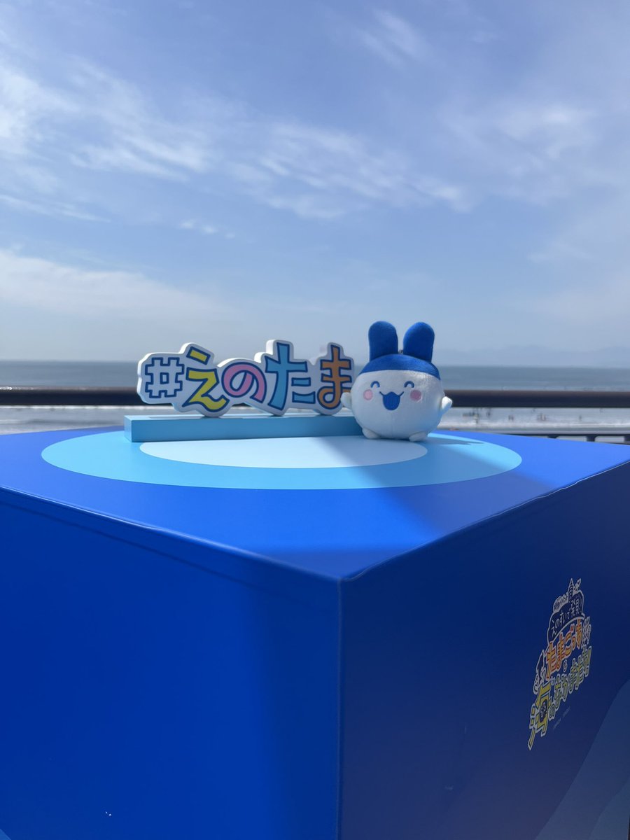 むつき☆たまごっち tweet media