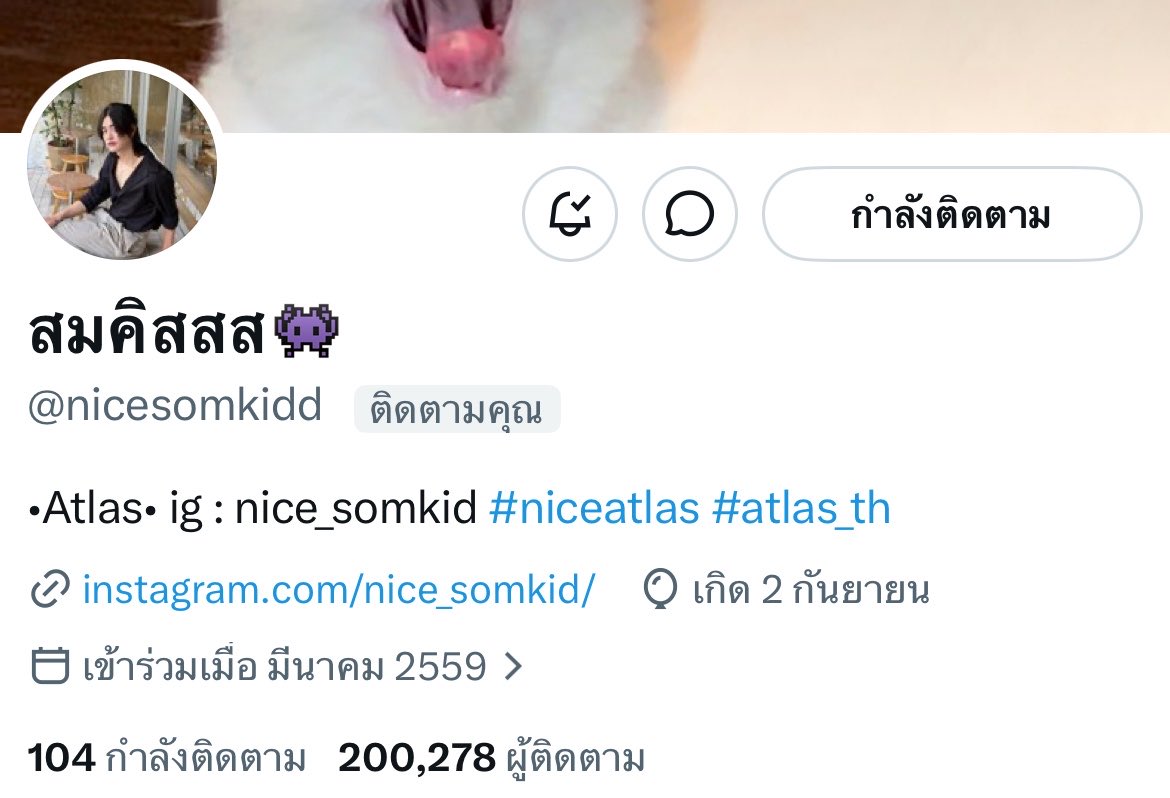 Nice Story tweet media