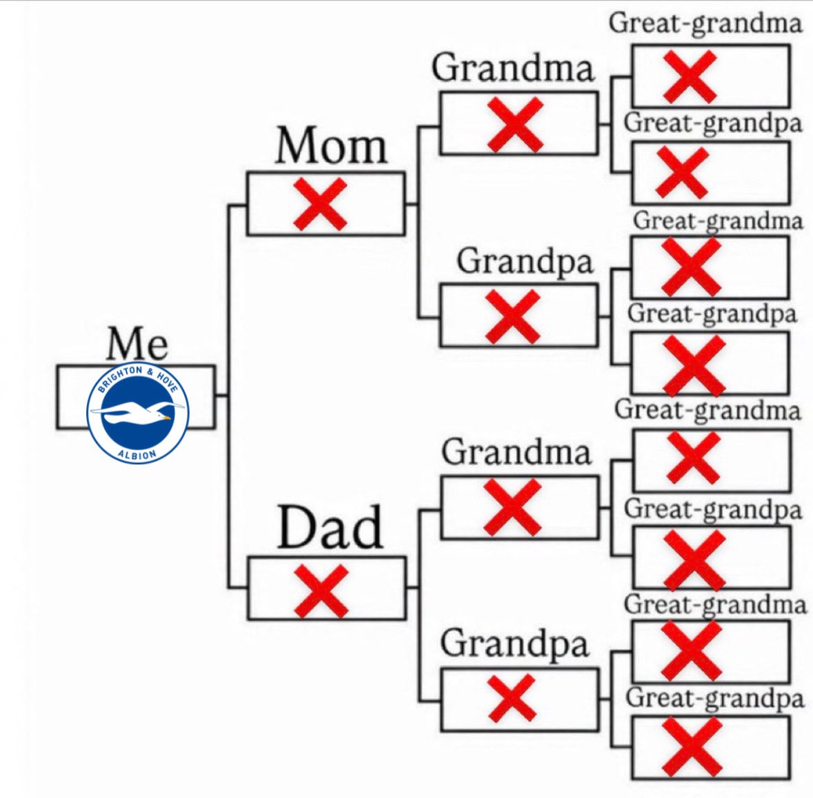 Aq𝓾a 🇨🇦🪄 tweet media