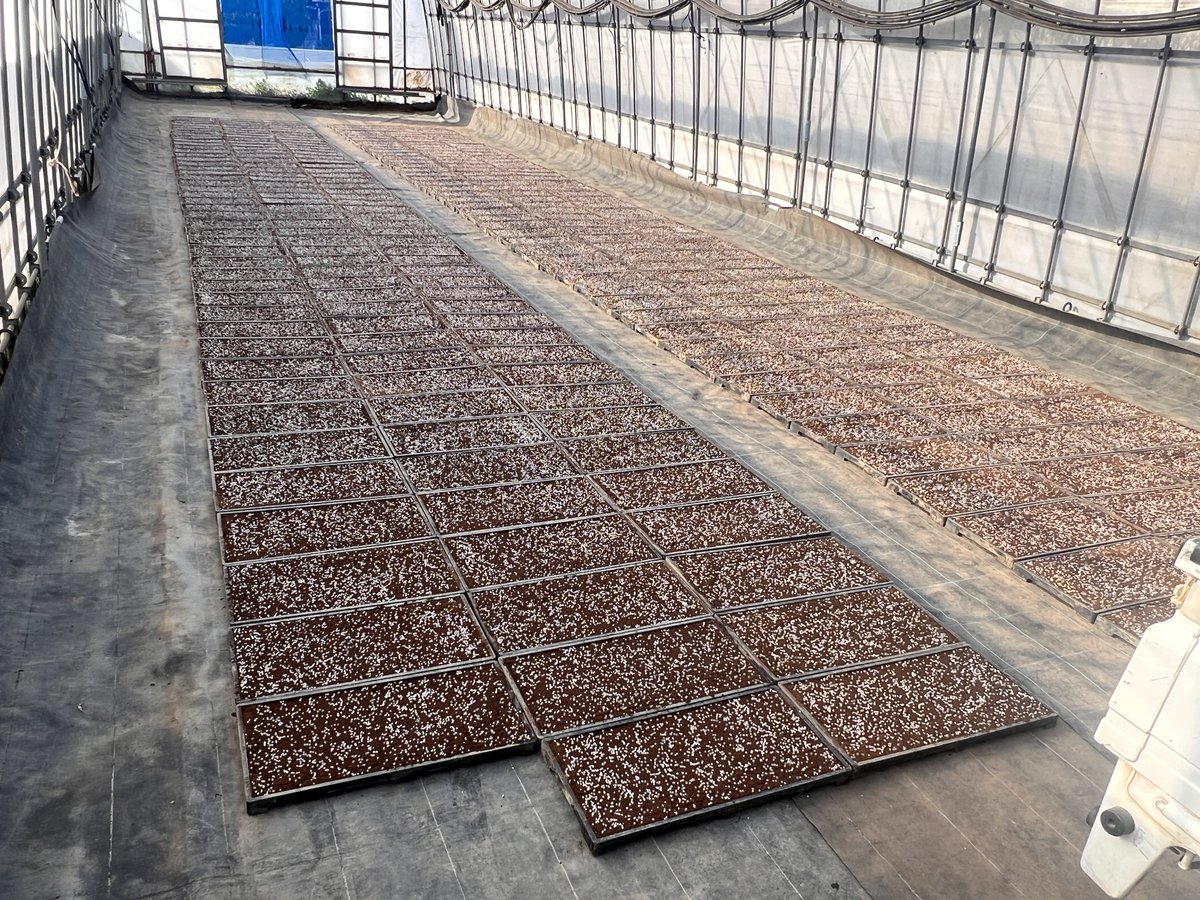 かずまさ@薪ストーブ職人二代目 tweet media