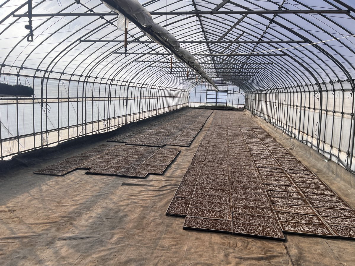 かずまさ@薪ストーブ職人二代目 tweet media