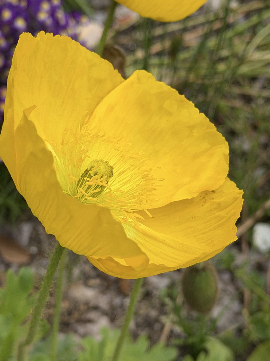 rinmfamily's tweet image. おはようございます 
𝙂𝙤𝙤𝙙 𝙈𝙤𝙧𝙣𝙞𝙣𝙜🐓 
日曜日
世界平和を祈りながら過ごします
鉄筋工ですからⓂ️
Have a nice day 🍀 
良い1日を☺️
#morning  #おはよう