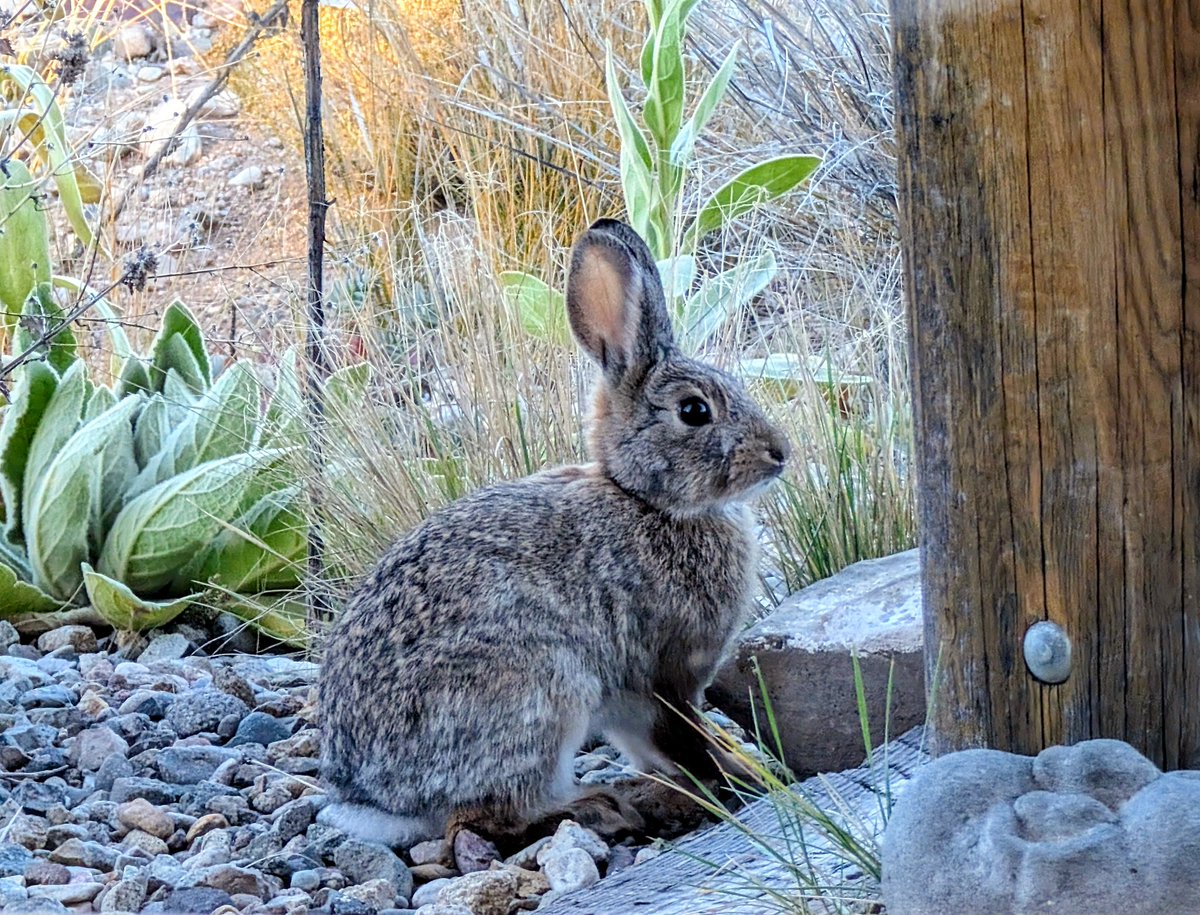 Loralee Logan 🌻🌻🌻 tweet media