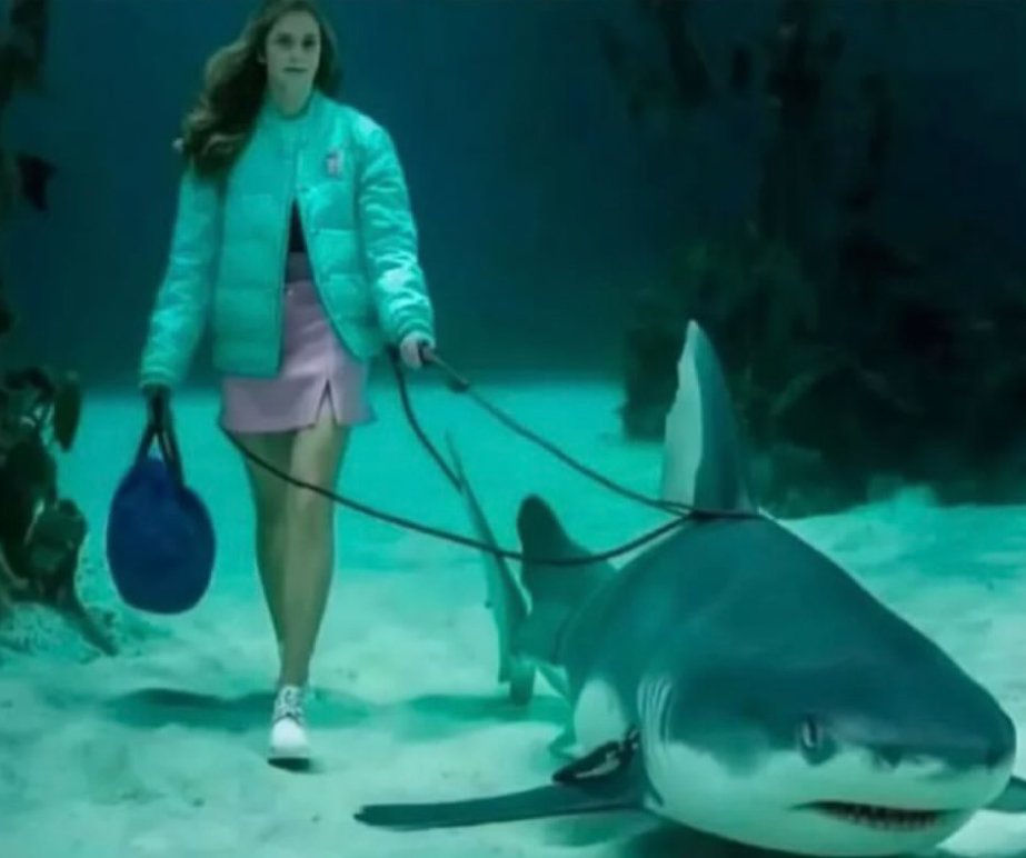 Sagitário ♐ 
"acreditar num homem ou domar um tubarão?"

eu: