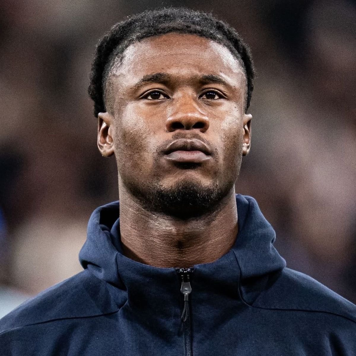 Gakpo Era 🇳🇱 tweet media