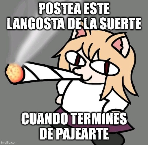 Chadoca's top guy (@bruh_meo) on Twitter photo 