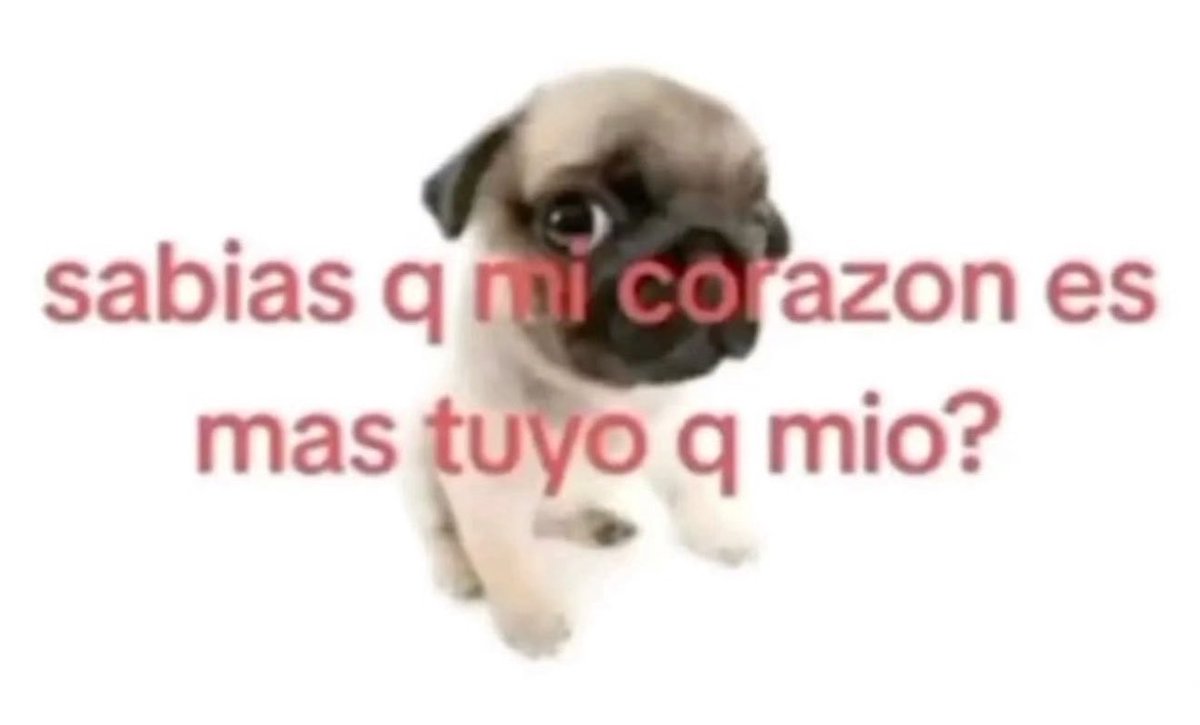 piña sin pizza tweet media