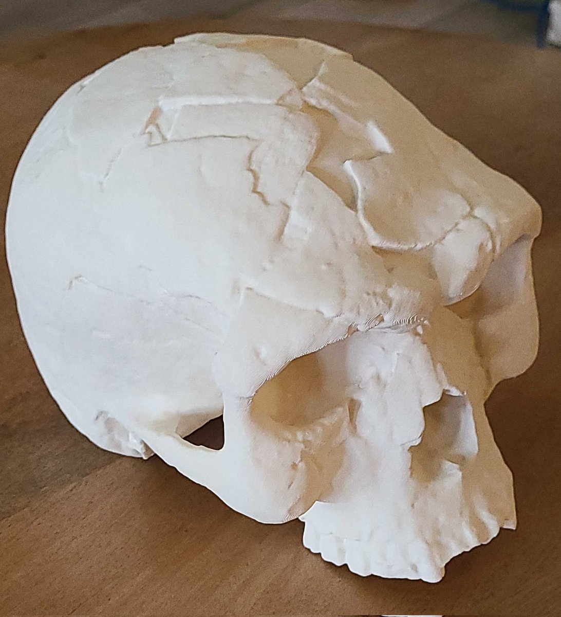 Marvin Sevilla tweet media