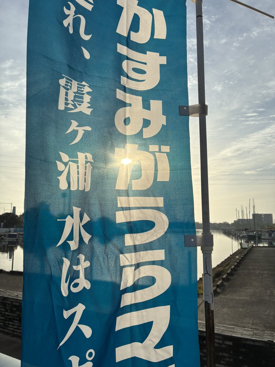 ごはん tweet media
