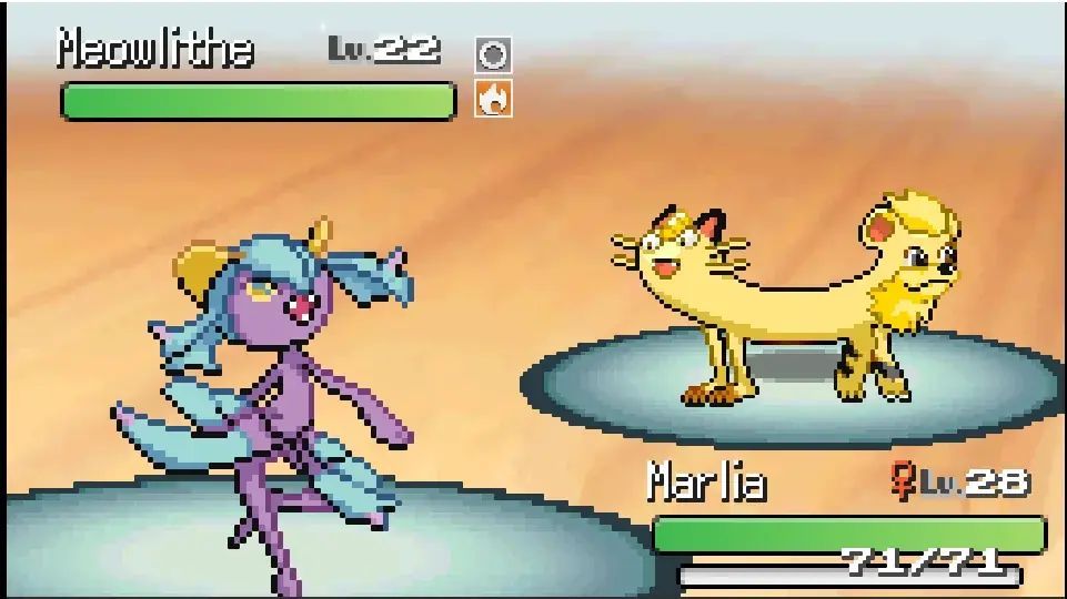 Pokémon Daily tweet media