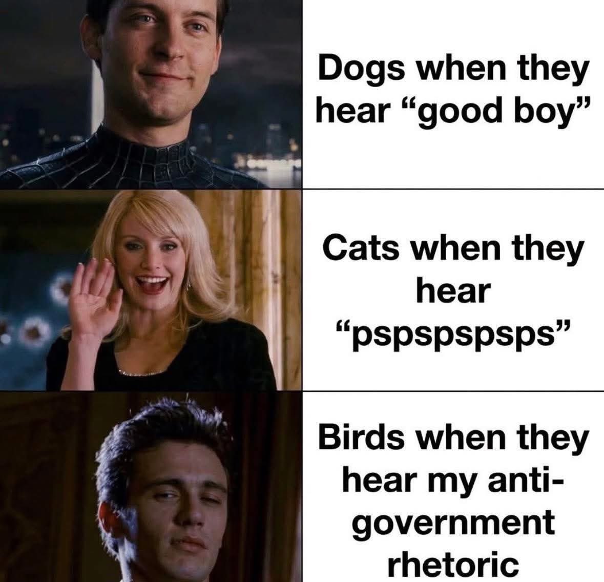 s𝗍ᥱ⍴һᥲᥒіᥱ tweet media