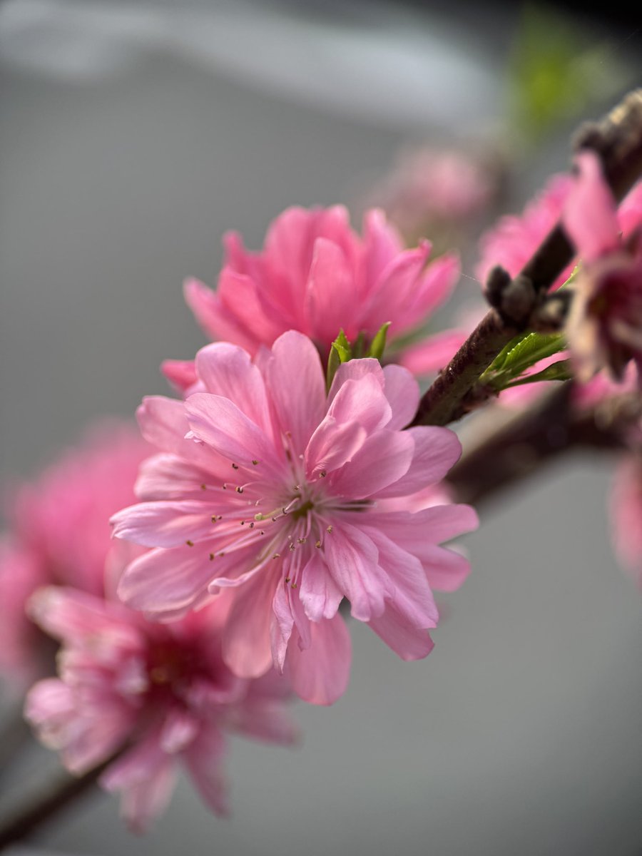 미틈달 초닷새🌱 tweet media