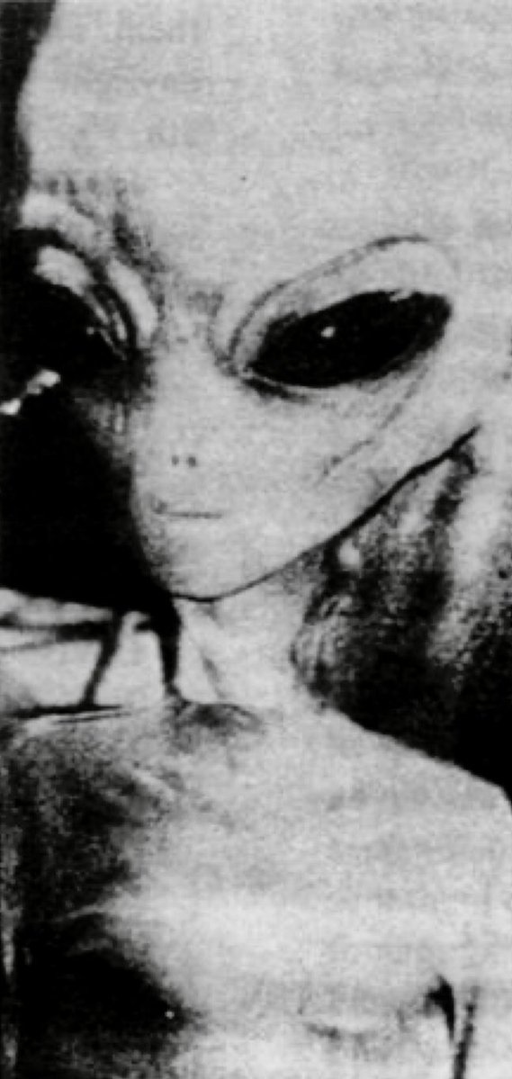 JonStewartIL's tweet image. I believe, with every fabric in my soul, this is a real EBEN. The “twisting” neck muscles and tendons has been a familiar theme amongst abductees…

#ebe #aliens #ufos #uaps #ufox