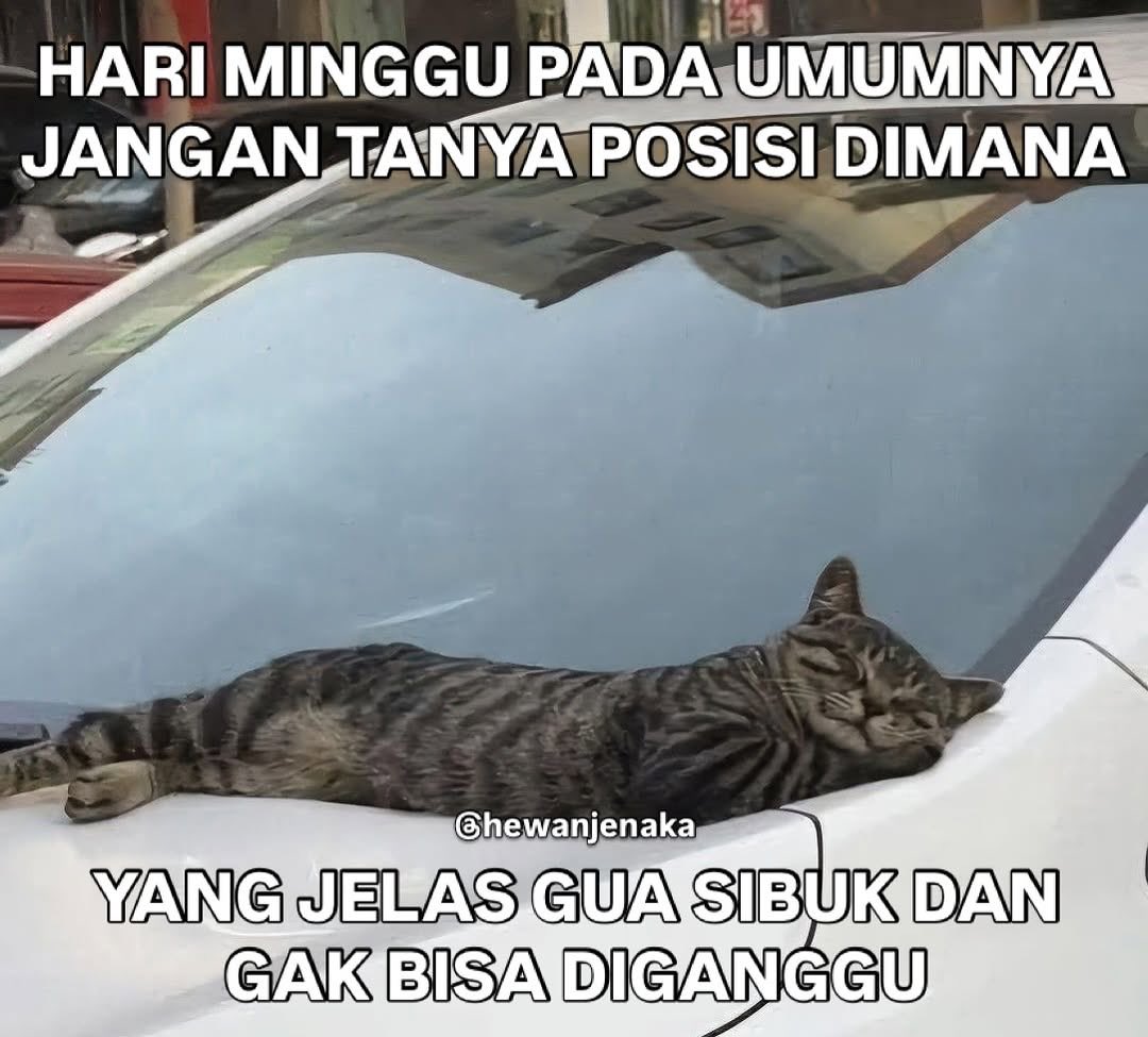 ⋆✰ Yuki 幸運 ✰⋆ tweet media