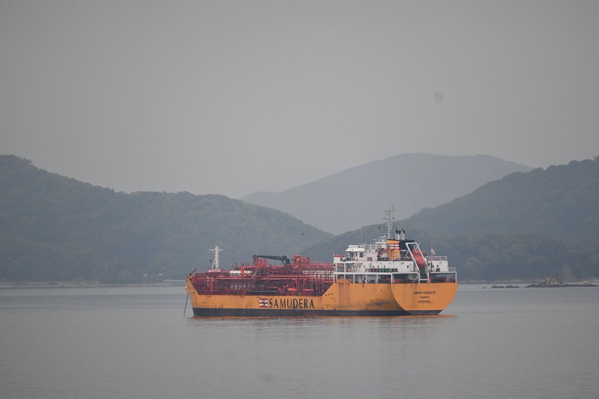 メジロの巣 tweet media