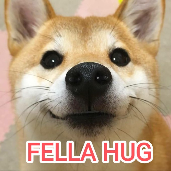 FellaoftheNorth II 🇺🇦🇪🇺🇬🇱 tweet media