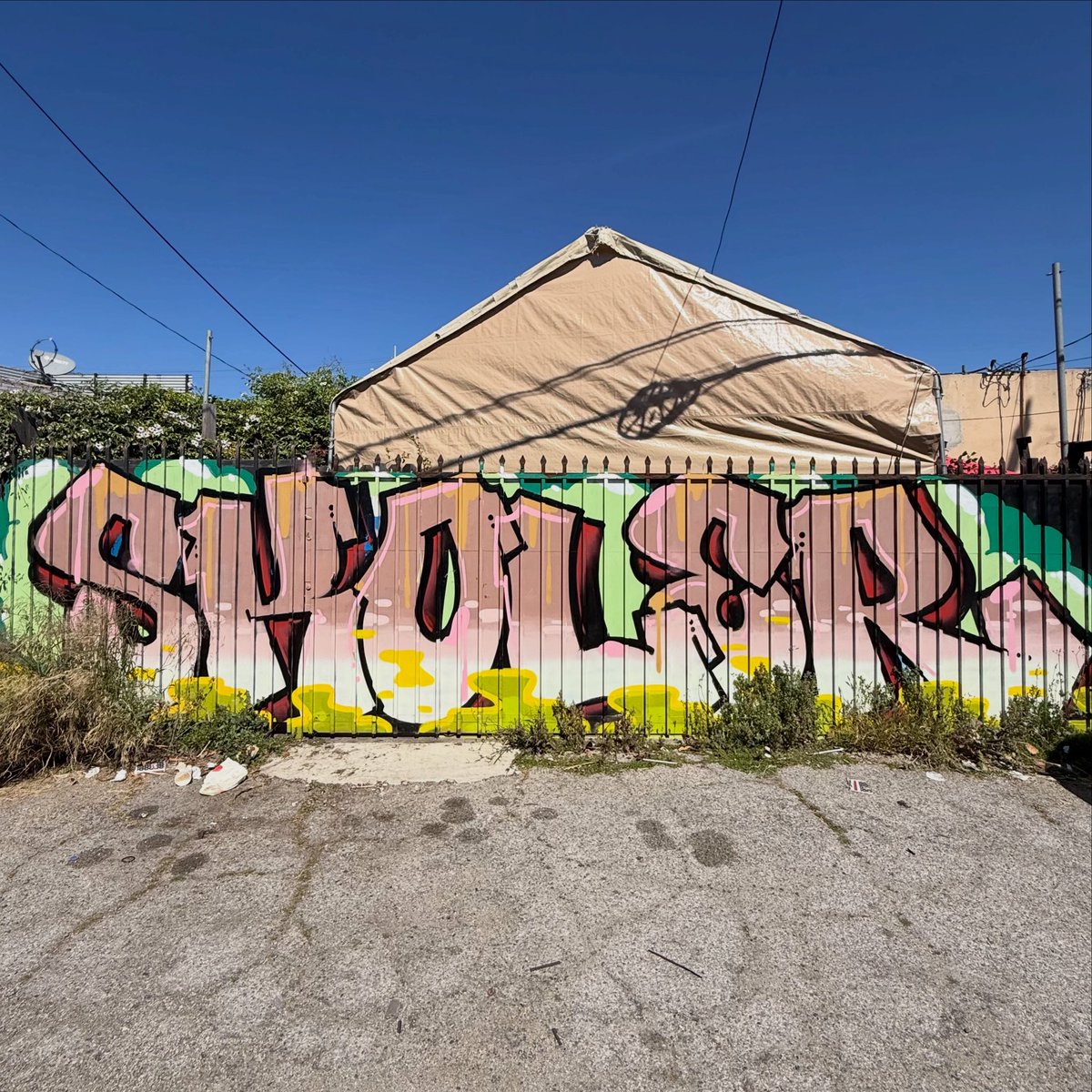 The Graffiti Hunter tweet media