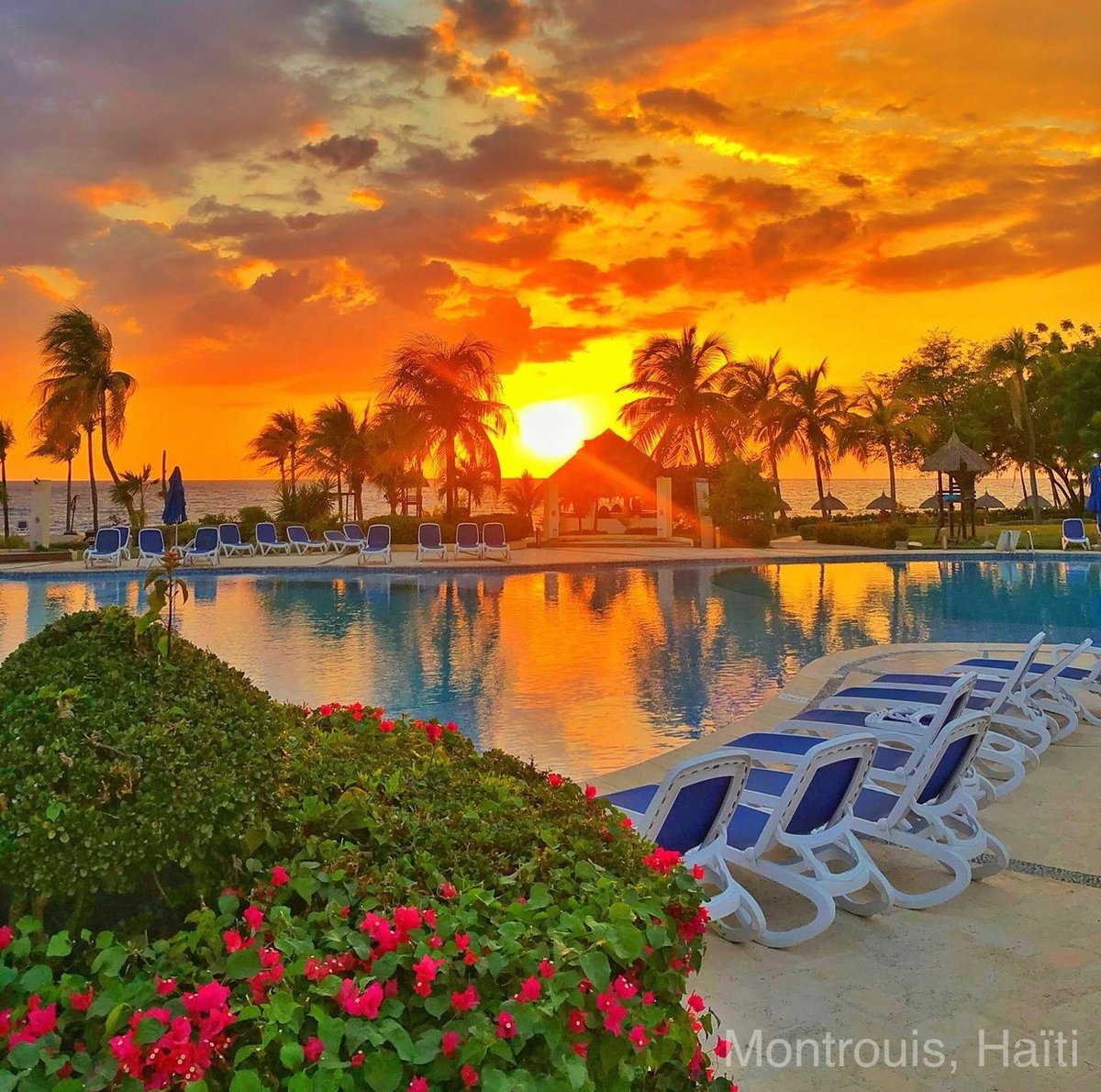 ₿itcoin Xoe 🇭🇹 tweet media