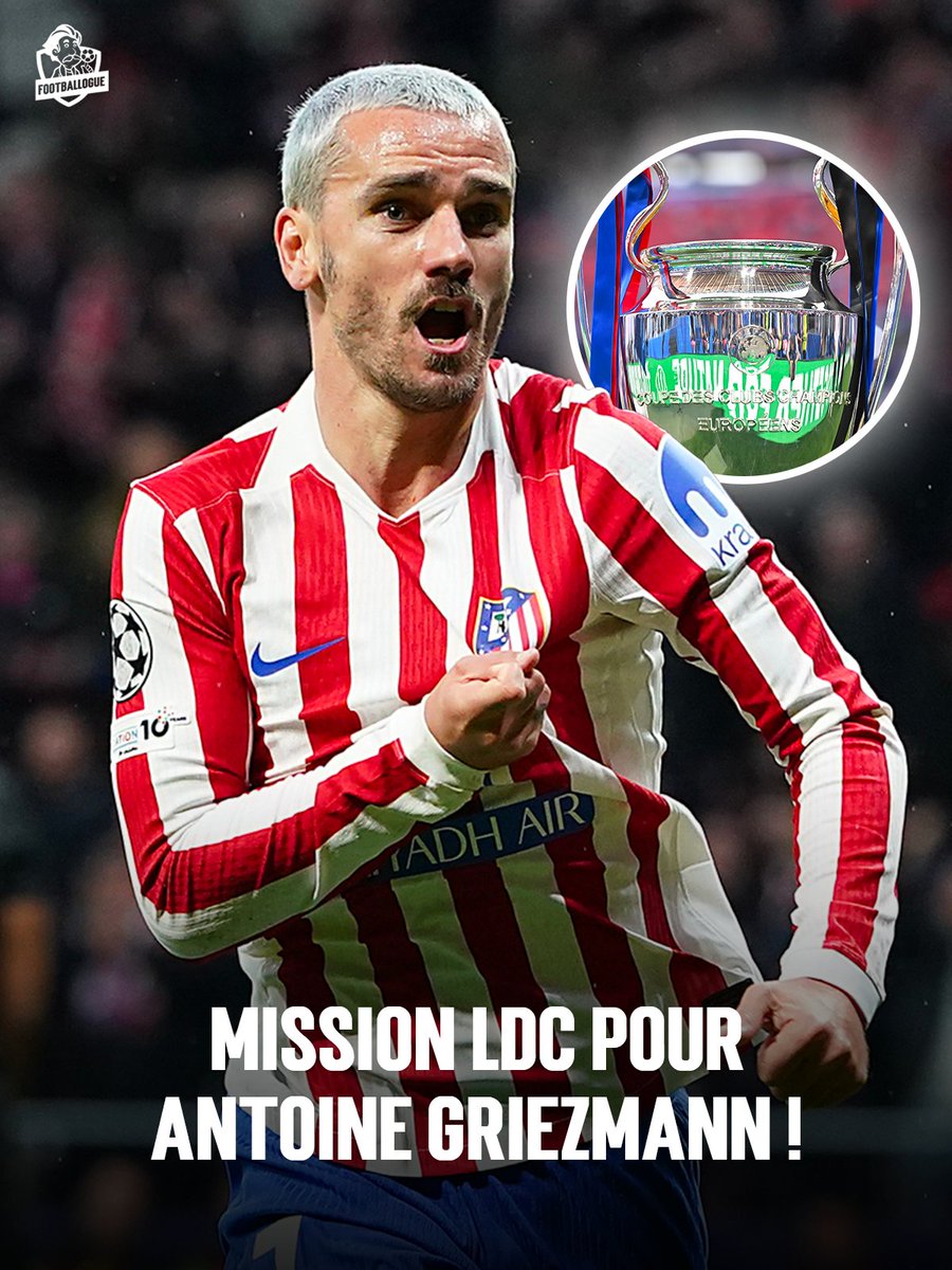 Footballogue tweet media