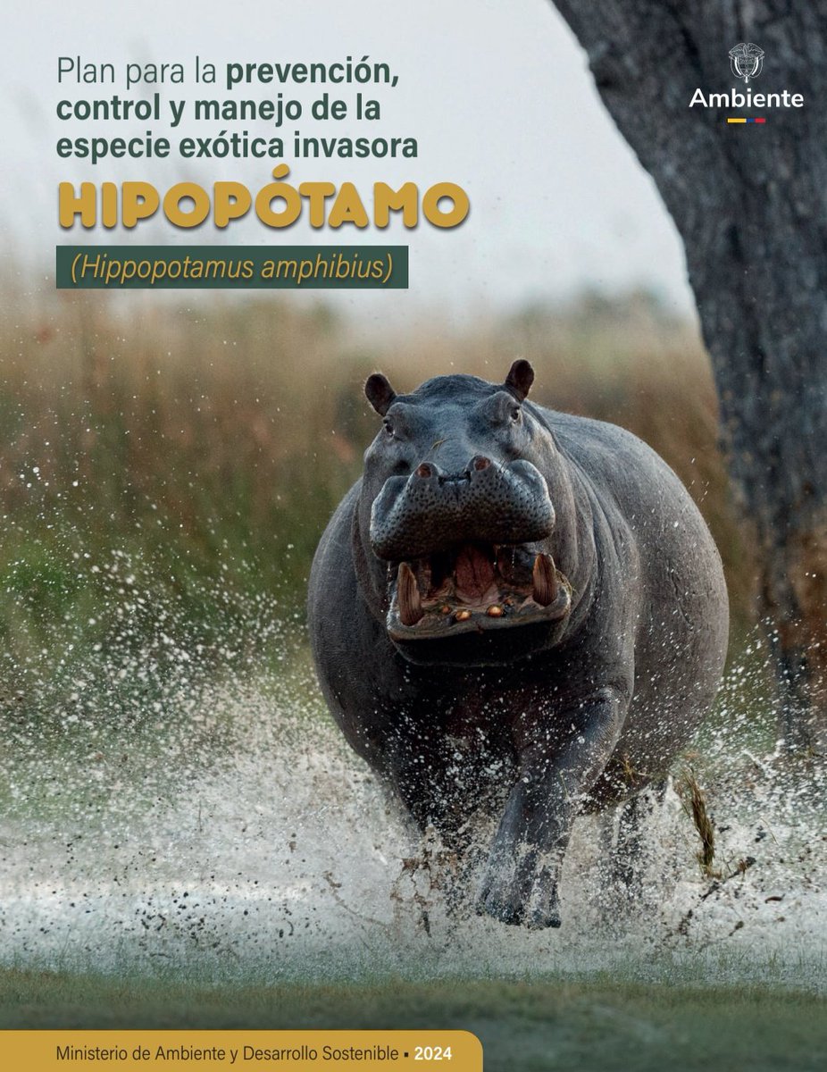 Rafael Moreno tweet media