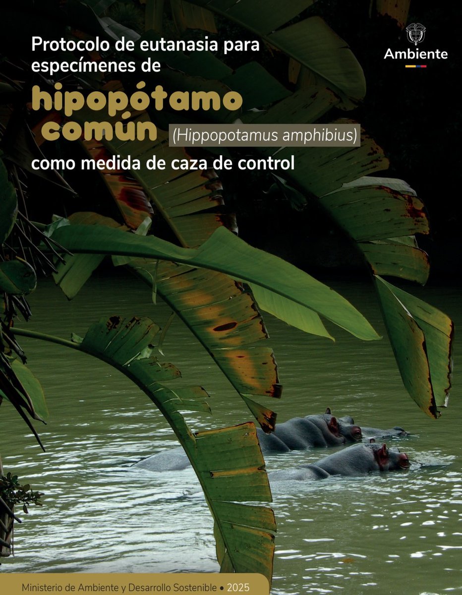 Rafael Moreno tweet media