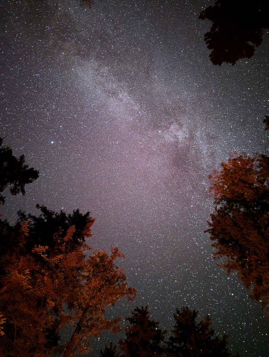 Jammy Apps tweet media