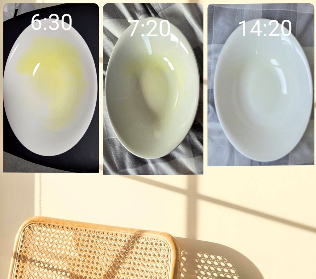 MOGUみん tweet media