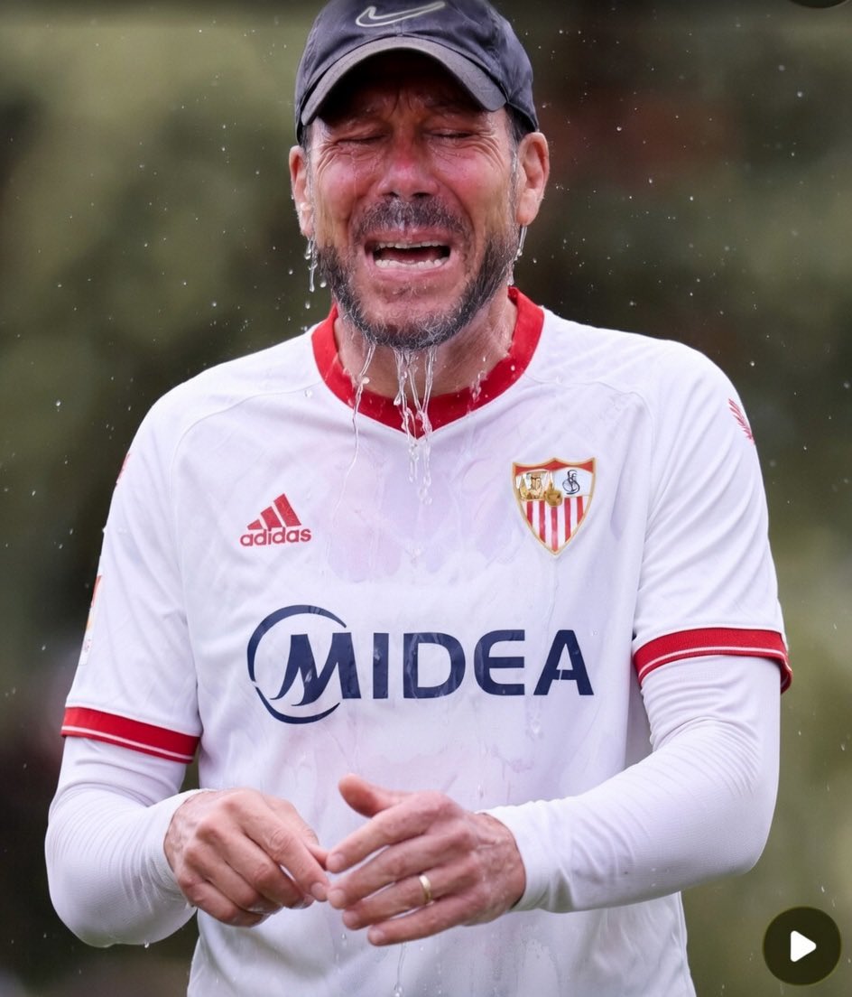 Pellegrinista tweet media