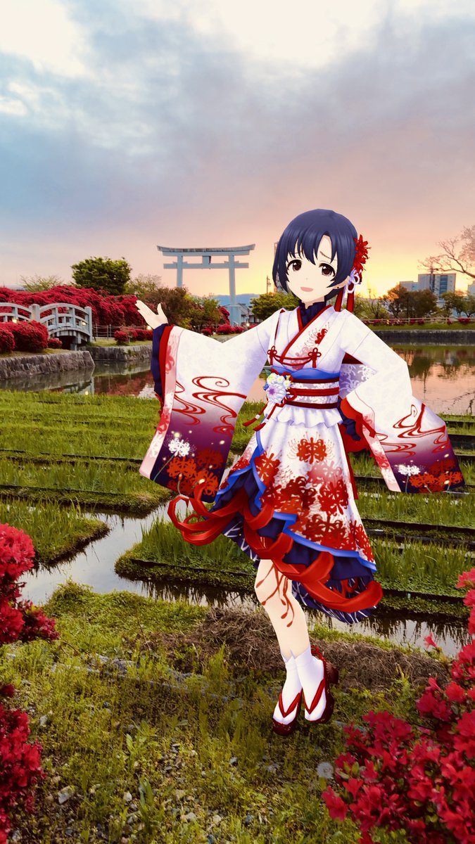 ほたるちゃん誕生日おめでとうございます㊗️🎉🎉 長岡天満宮の