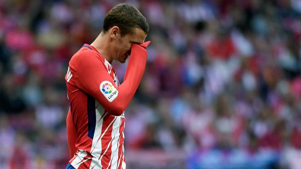 عبدالمحسن. tweet media