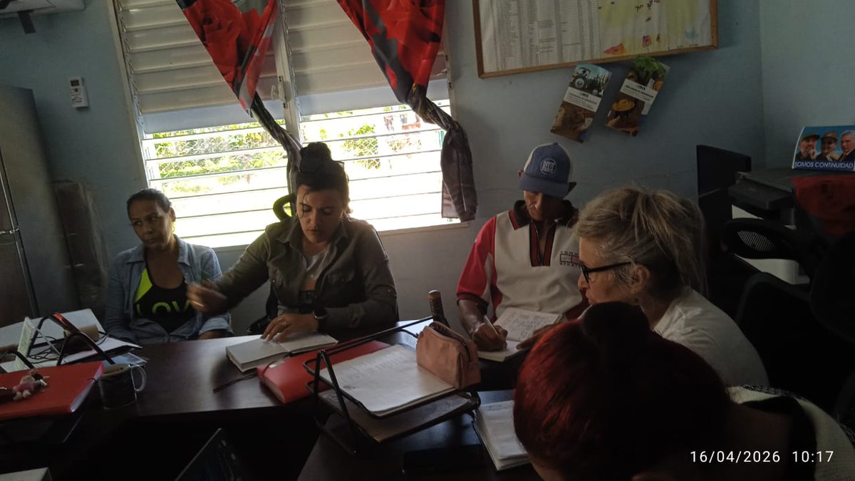 mirabal_di45113's tweet image. Reunión de trabajo en Los Arabos por parte de especialistas de la #EmpresaAgroforestalMatanzas. Se chequean los  acuerdos,ejecución de los Proyectos y posibles soluciones para incrementar la producción 
#CubaAvanza #CubaEsRevolución #MatancerosEnVictoria
@DiazCanelB
@GHNordelo5
