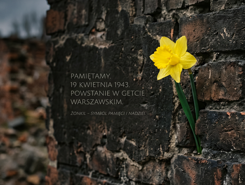 Janek 🇪🇺 🇵🇱 🇦🇹 🇮🇱 tweet media