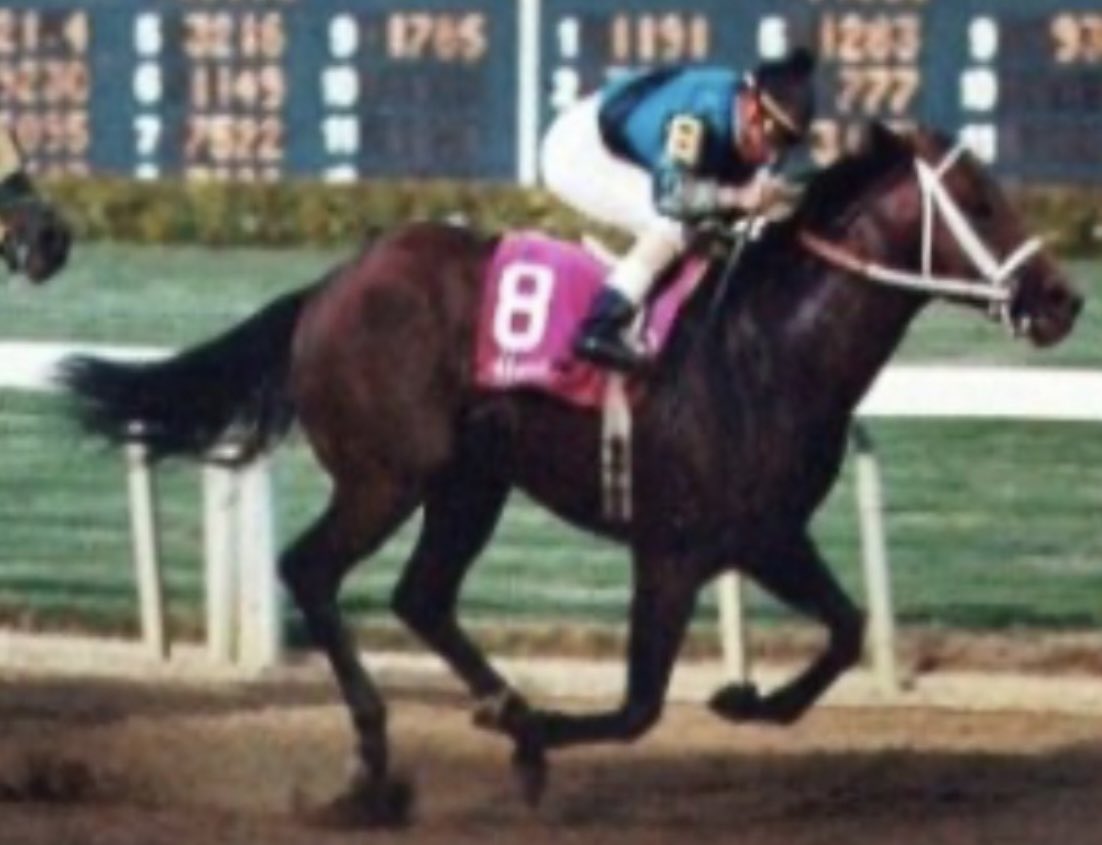 Jose Luis D'Angelo Durán tweet media