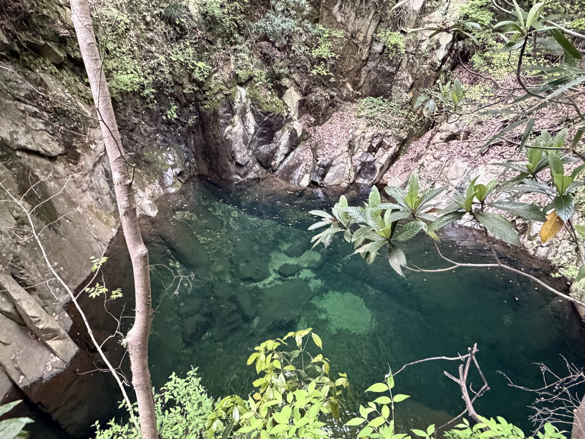 shu作🏃🏀🏸🏐📷 tweet media