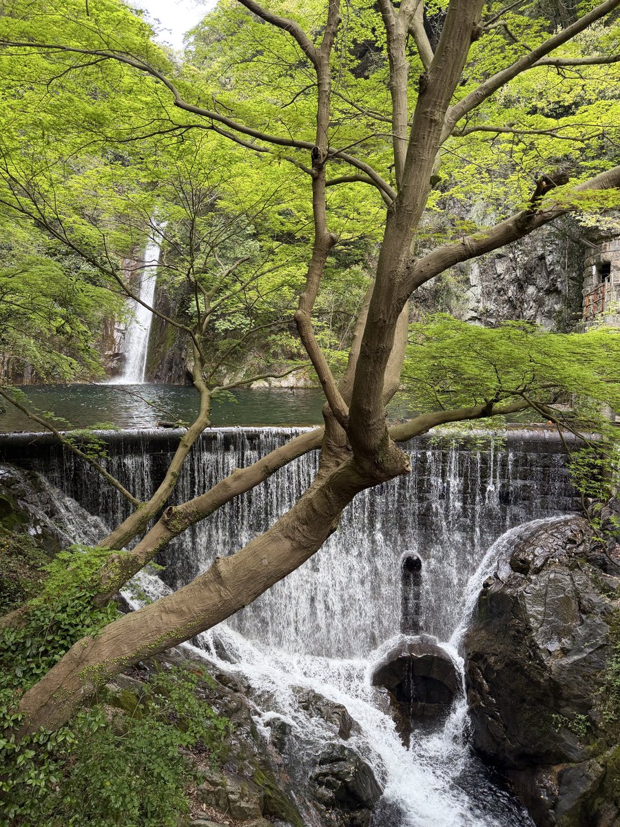 shu作🏃🏀🏸🏐📷 tweet media