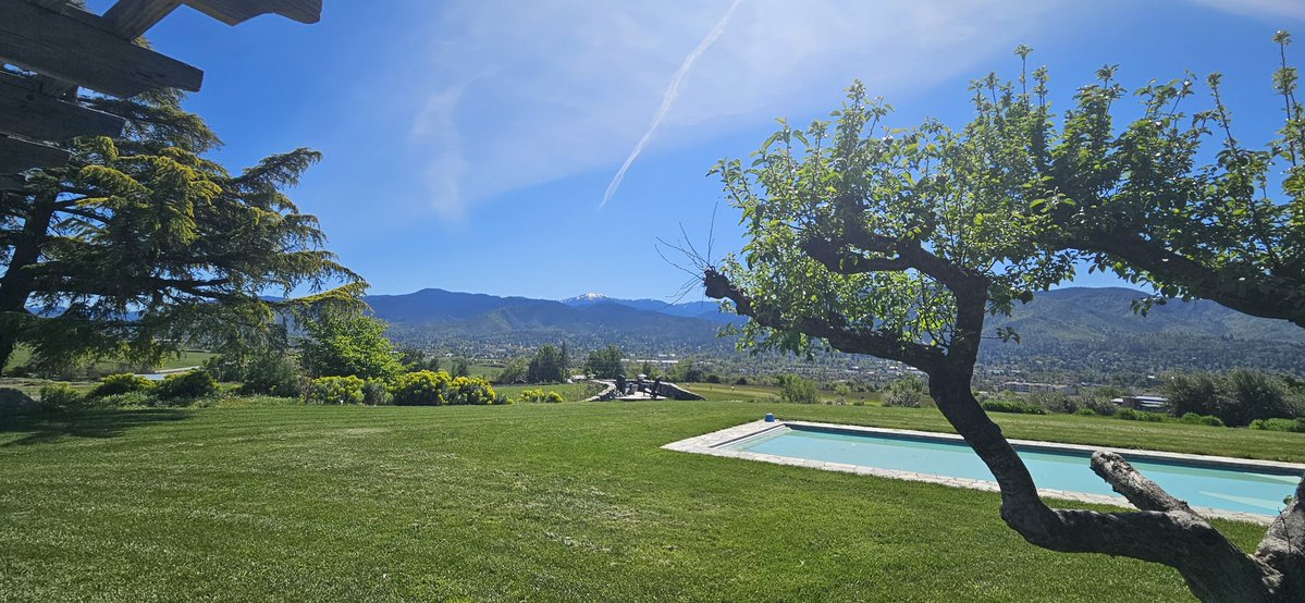 pissyserver (@pissyserver) on Twitter photo 