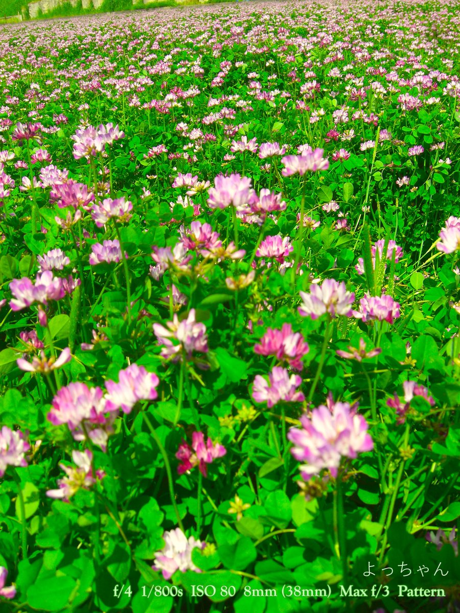 よっちゃん tweet media