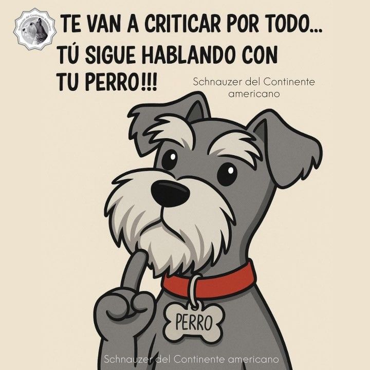 Maxi (@rey_latino33087) on Twitter photo 